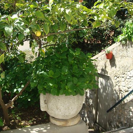 Guesthouse Manda Dubrovnik Buitenkant foto