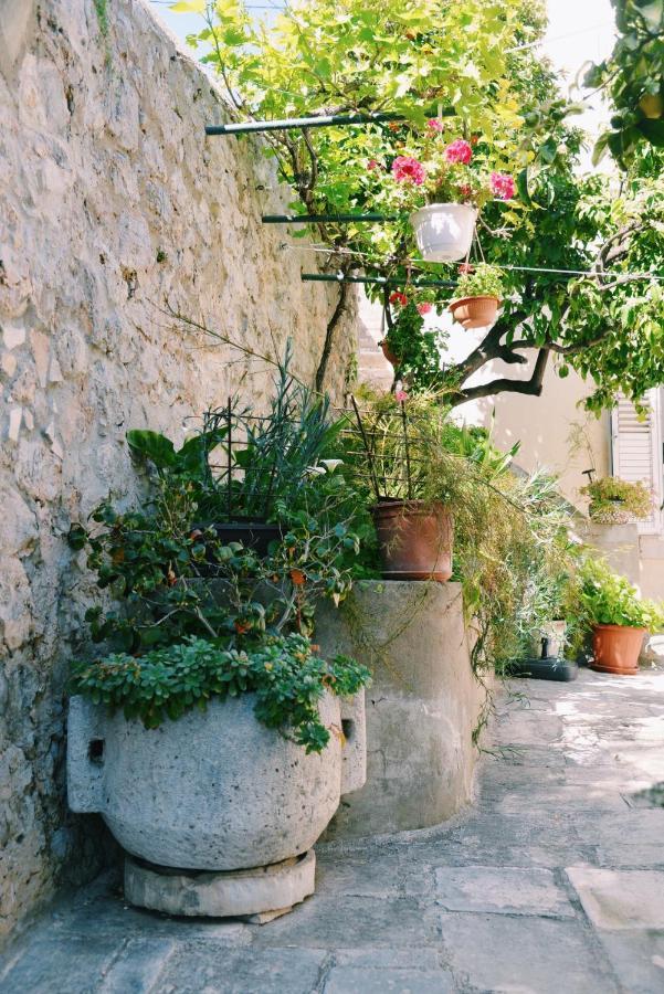 Guesthouse Manda Dubrovnik Buitenkant foto