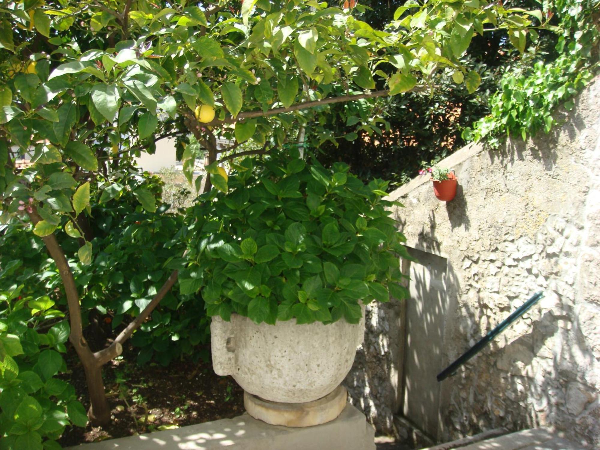 Guesthouse Manda Dubrovnik Buitenkant foto